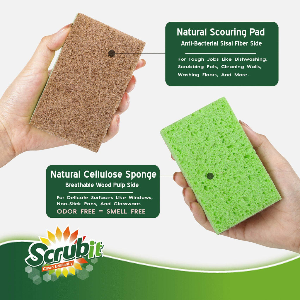 Natural Plant-Based Scrub Sponge by Scrub-it, Non-Scratch, Biodegradable scrubbing sponges with a Tough scouring pad for Kitchen and Bathroom– 24 Pack