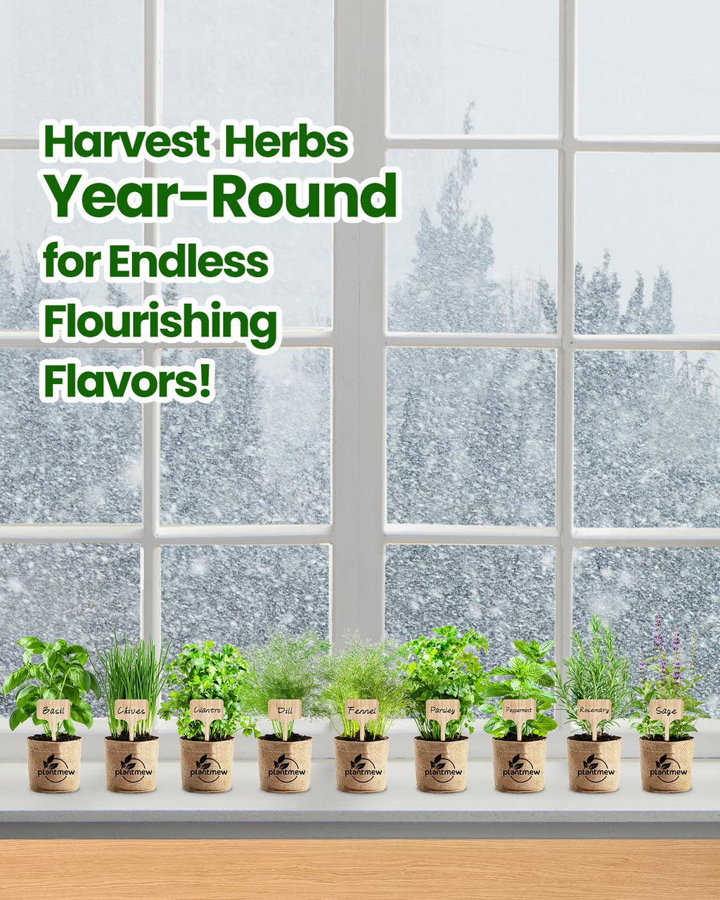 Herb Seeds Variety Pack – 9 Culinary Heirloom Seed Kits for Indoor/Outdoor Planting | Unique Gardening Gifts for Mom, Women, New Home & Kitchen | Complete Herb Garden Starter Set with Gift Packaging