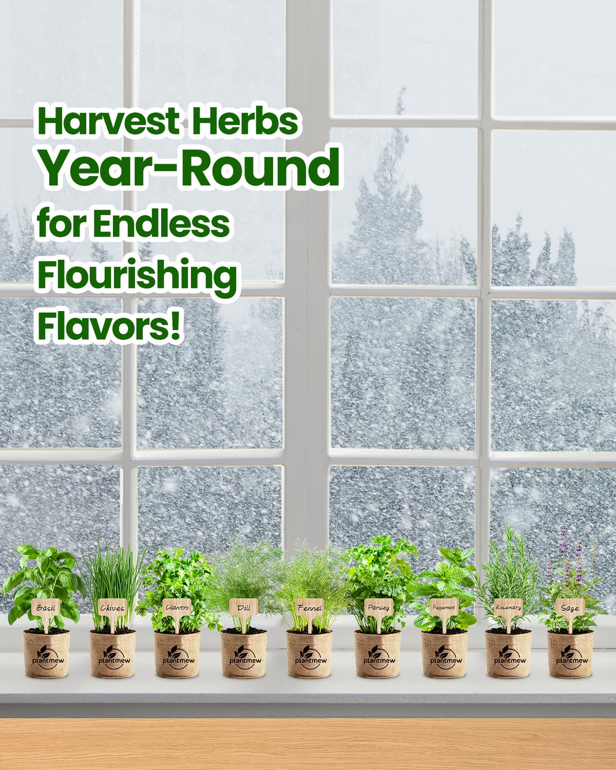 Herb Seeds Variety Pack – 9 Culinary Heirloom Seed Kits for Indoor/Outdoor Planting | Unique Gardening Gifts for Mom, Women, New Home & Kitchen | Complete Herb Garden Starter Set with Gift Packaging