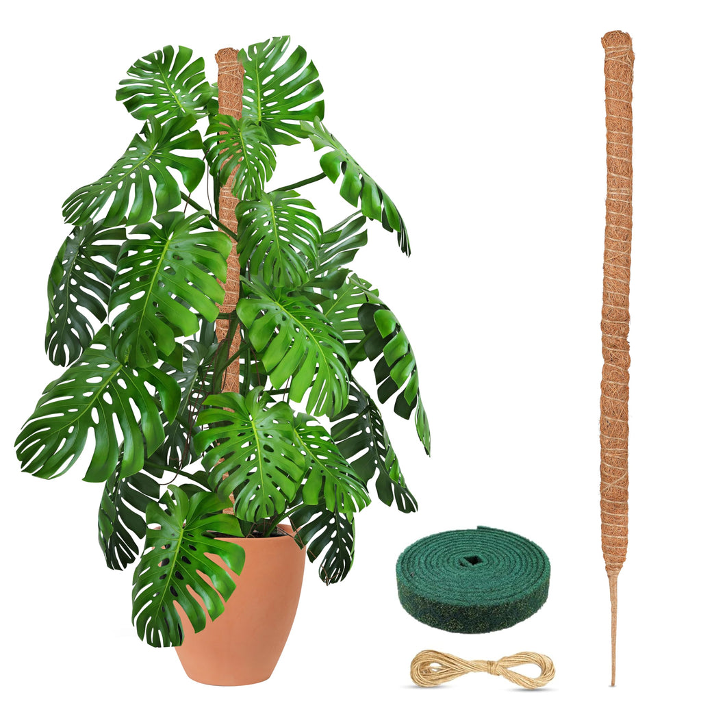 EcoNour 48 inches Moss Pole - Monstera Plant Support Sticks - Coco Coir Plant Support Stakes for Small Potted Climbing Plants - Elevate Indoor Potted Plants to Grow Upwards