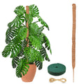 EcoNour 48 inches Moss Pole - Monstera Plant Support Sticks - Coco Coir Plant Support Stakes for Small Potted Climbing Plants - Elevate Indoor Potted Plants to Grow Upwards