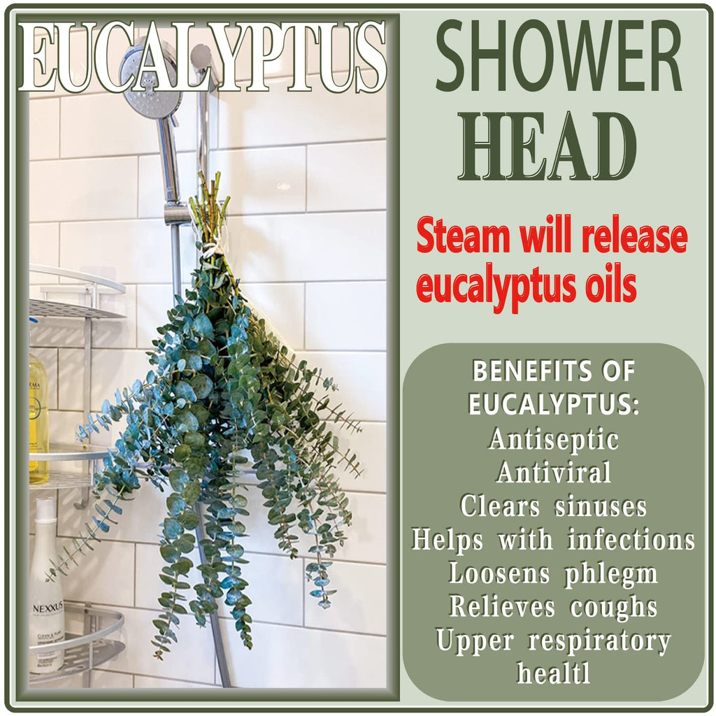 20 Pcs Preserved Dried Eucalyptus Stems, 17" Natural Fresh Eucalyptus Bundles for Shower, Real Plant for Vase Filler, Dried Flowers Arrangement, Home Decor