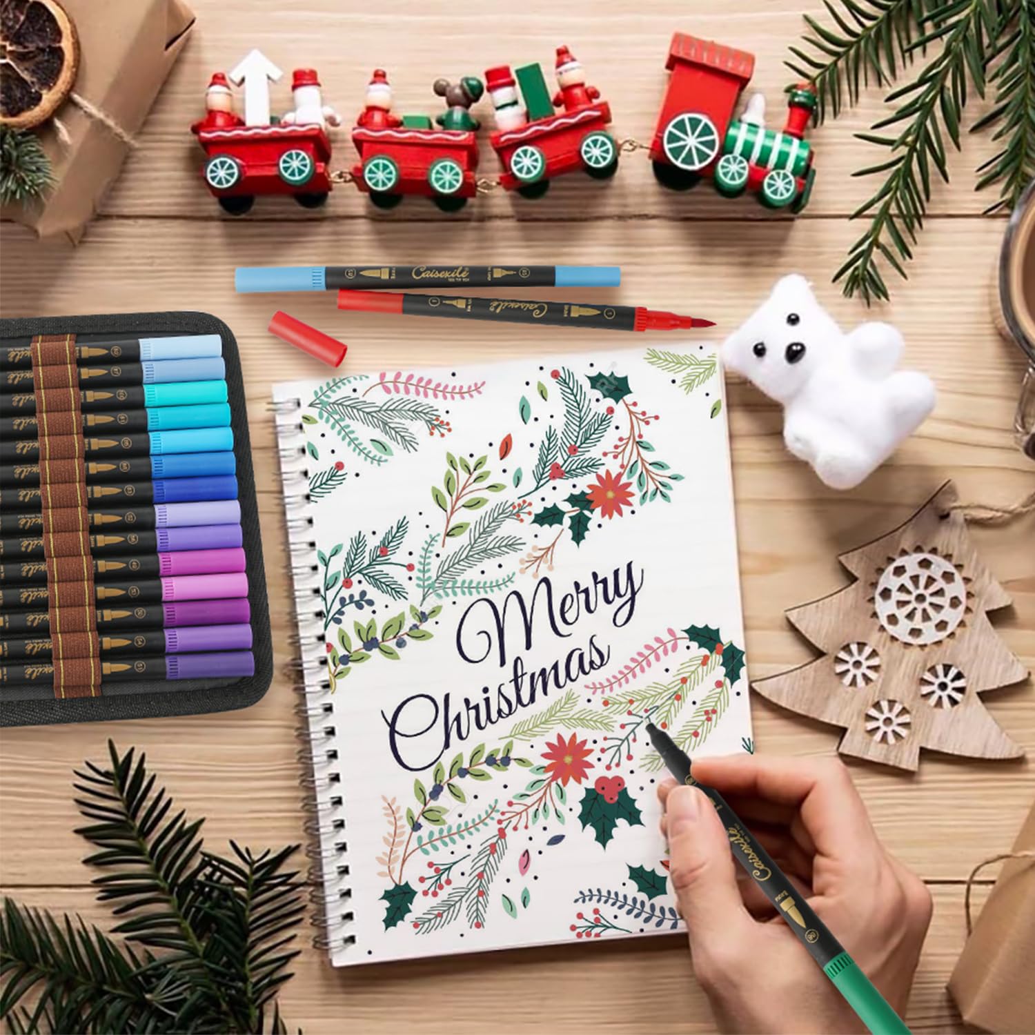 CAISEXILE 48 Color Duo Tip Pens, Fine Point Brush Coloring Art Markers & Journal Planer Pen Set for Adult Coloring Books Drawing Sketching Calligraphy Writing Note Taking