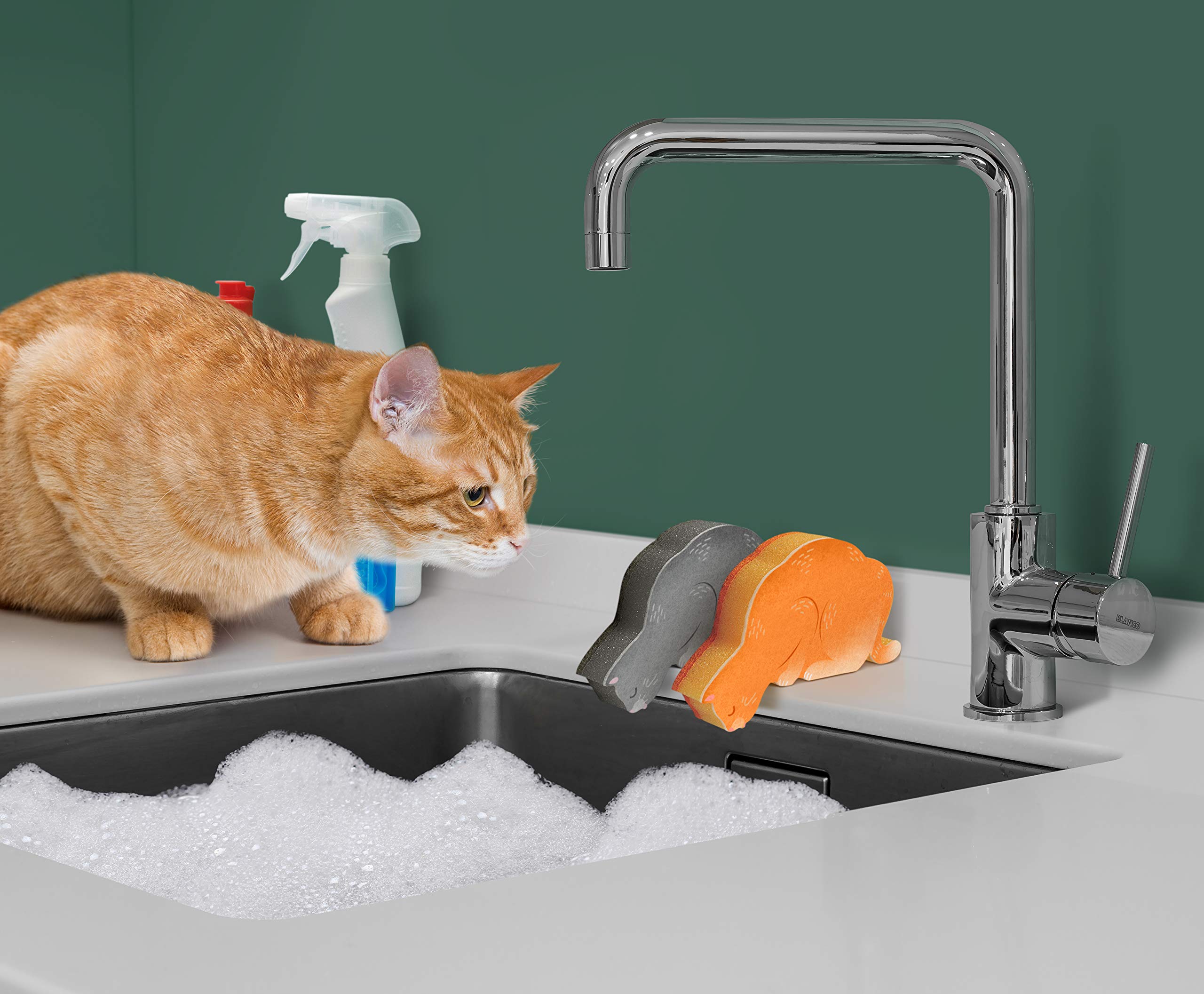 Fred Kitchen Kittens Sponge, Set of 2, Assorted Colors