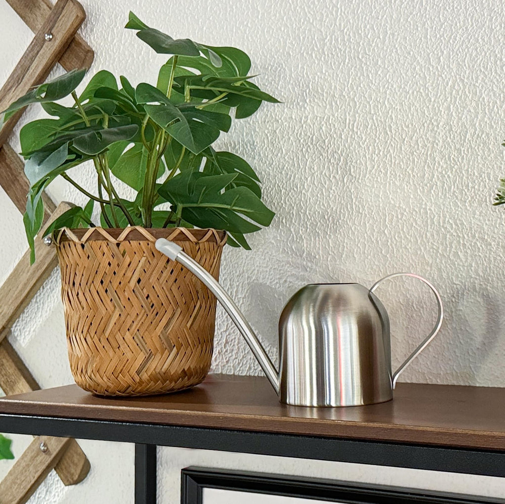 IMEEA Mini Watering Can Small Indoor Houseplant Watering Can for Orchid Bonsai Succulent Desk Office Stainless Steel (15oz/450ml)