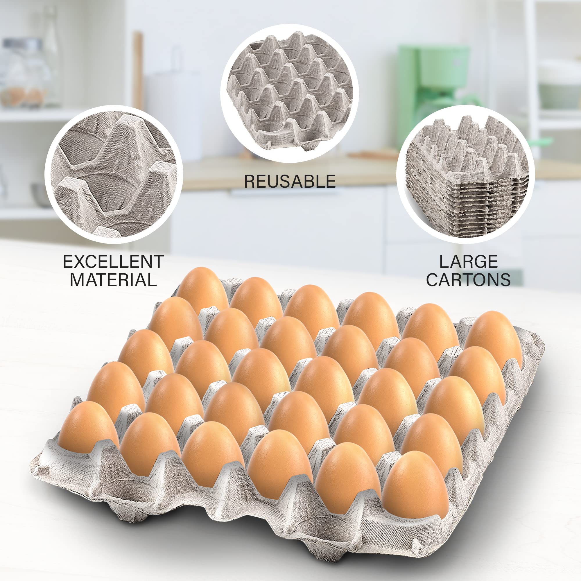 MT Products Egg Crate - (15 Pieces) for Storing up to 30 Large or Small Eggs - Pulp Fiber Egg Flat Cartons That Make a Great Home for Roach Colony - Made in the USA