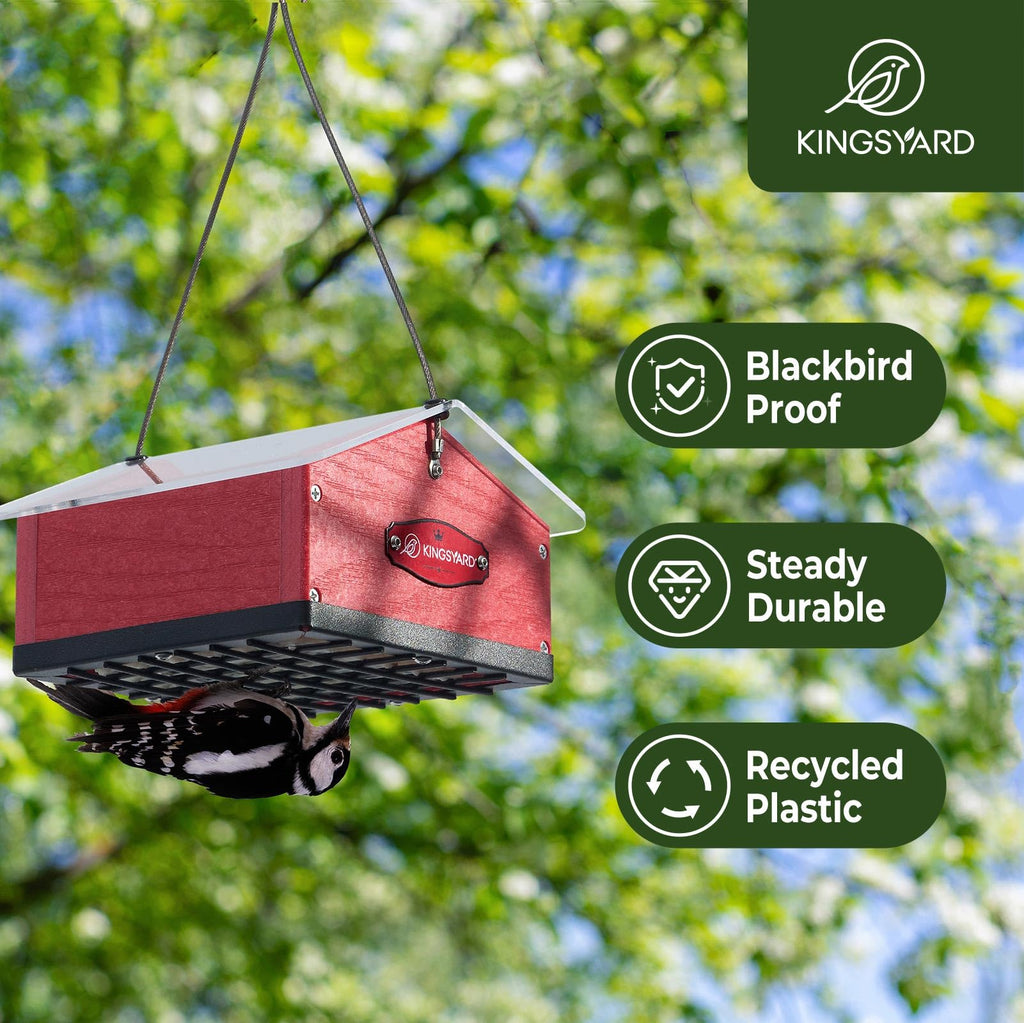 Kingsyard Upgraded Upside Down Double Suet Feeder for Outside Hanging, Squirrel-Proof Metal Edging, Wild Bird Feeder with Metal Weatherproof Roof, Attracting Woodpeckers, Nuthatches, Titmouse