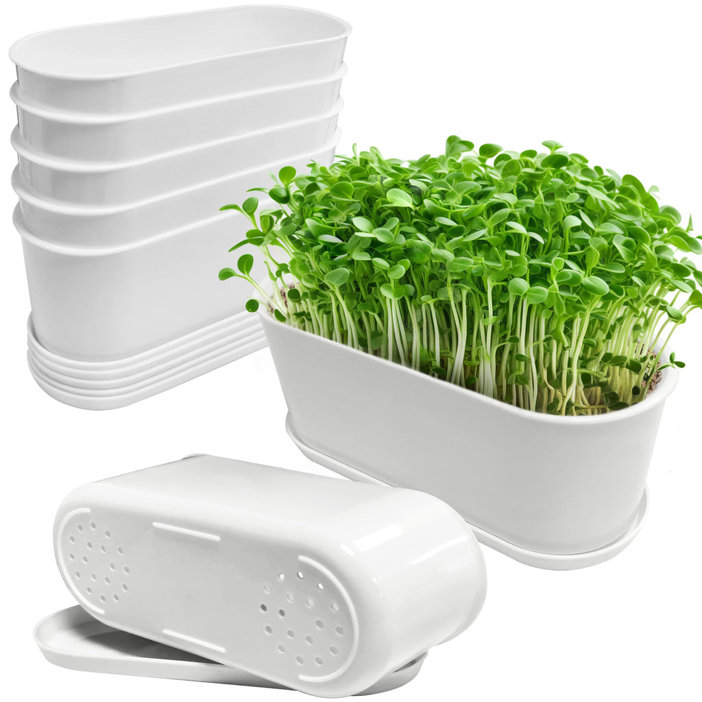 5 Set 8.5x3.5 Inch Plant pots, Rounded Rectangle planters with Multiple Drainage Holes and Trays, Window Box Planter for Indoor Windowsill, Balcony etc.