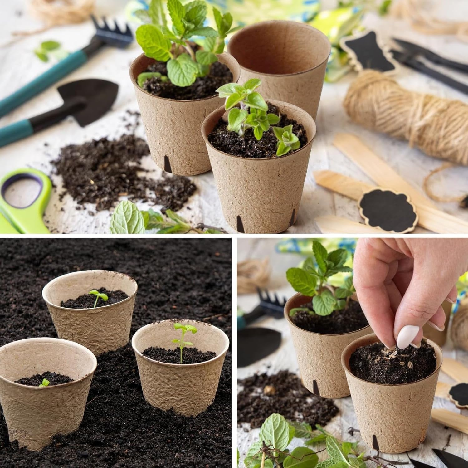 100-Pack 2 Inch Peat Pots for Seedling with Plant Labels, Biodegradable Seed Starter Pots, Plant Cups with Mini Seedling Tools for Garden Germination Nursery Pot