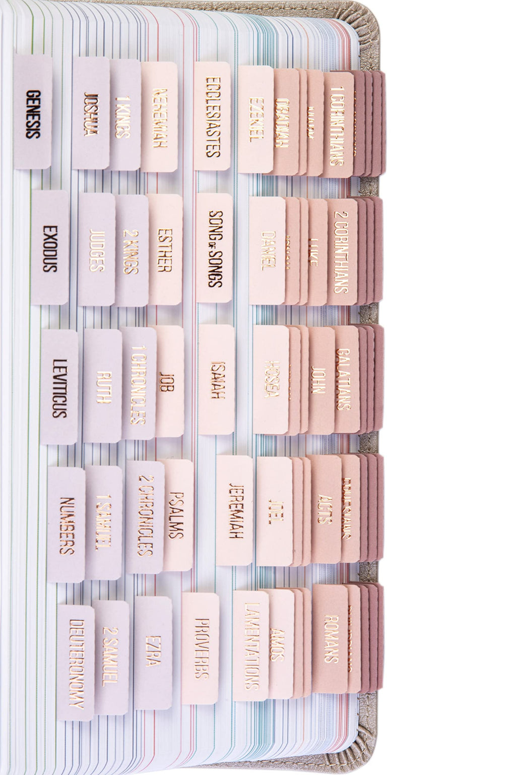 DiverseBee Laminated Bible Tabs (Rose Gold Embossed Lettering), Bible Journaling Supplies, Book Tabs, Christian Gift, 73 Tabs for Women and Men, Includes 4 Blank Dividers (Pearl)