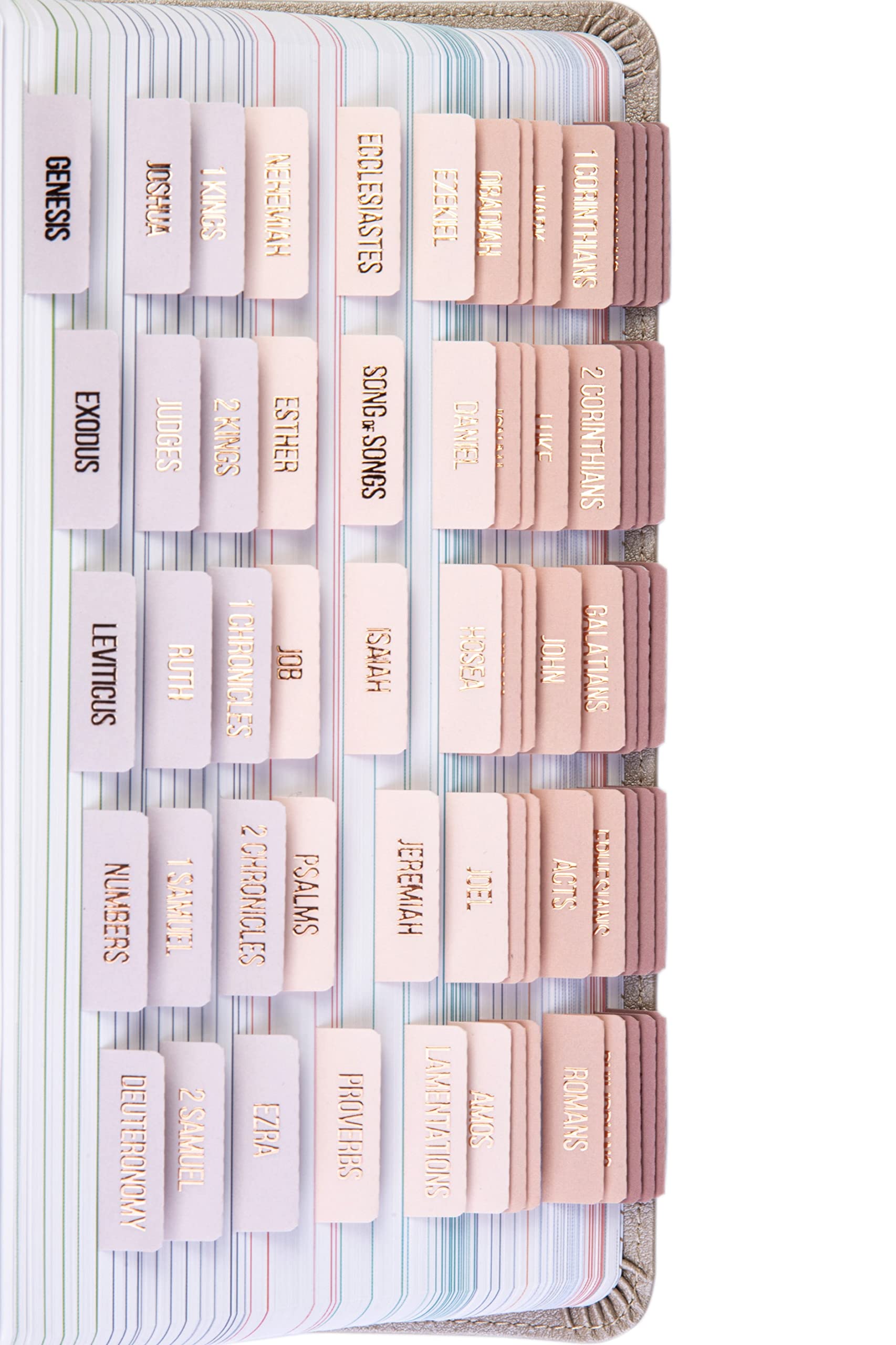 DiverseBee Laminated Bible Tabs (Rose Gold Embossed Lettering), Bible Journaling Supplies, Book Tabs, Christian Gift, 73 Tabs for Women and Men, Includes 4 Blank Dividers (Pearl)