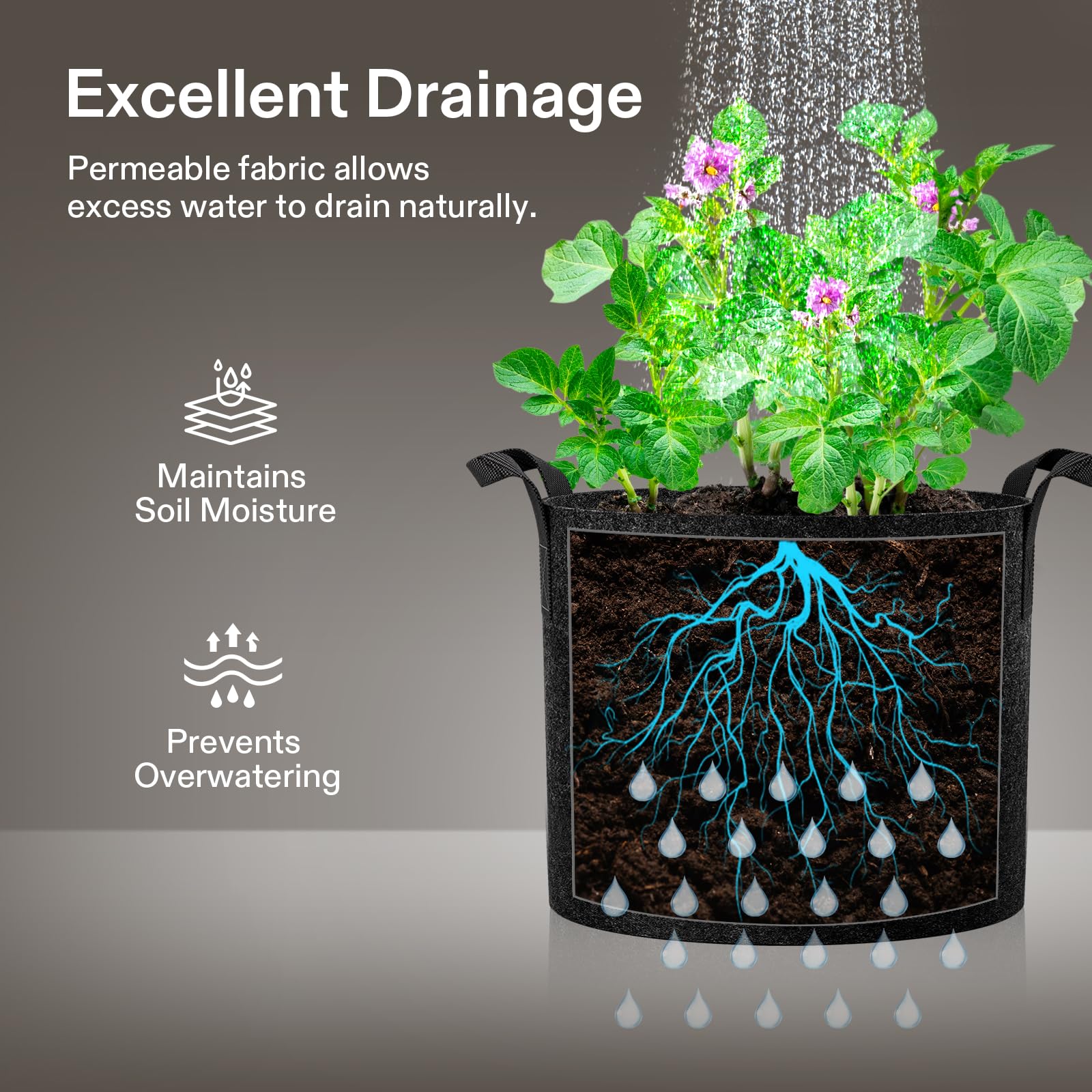 VIVOSUN 1 Pack 50 Gallon Grow Bag, Fabric Pot with Handles for Growing Vegtables and Plants