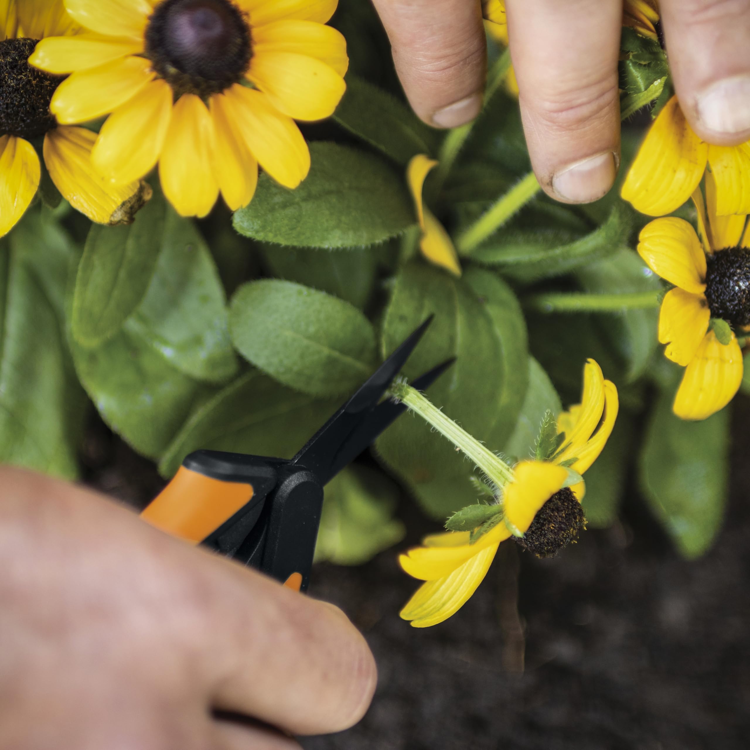 Fiskars Non-Stick Softgrip Micro-Tip Pruning Snip
