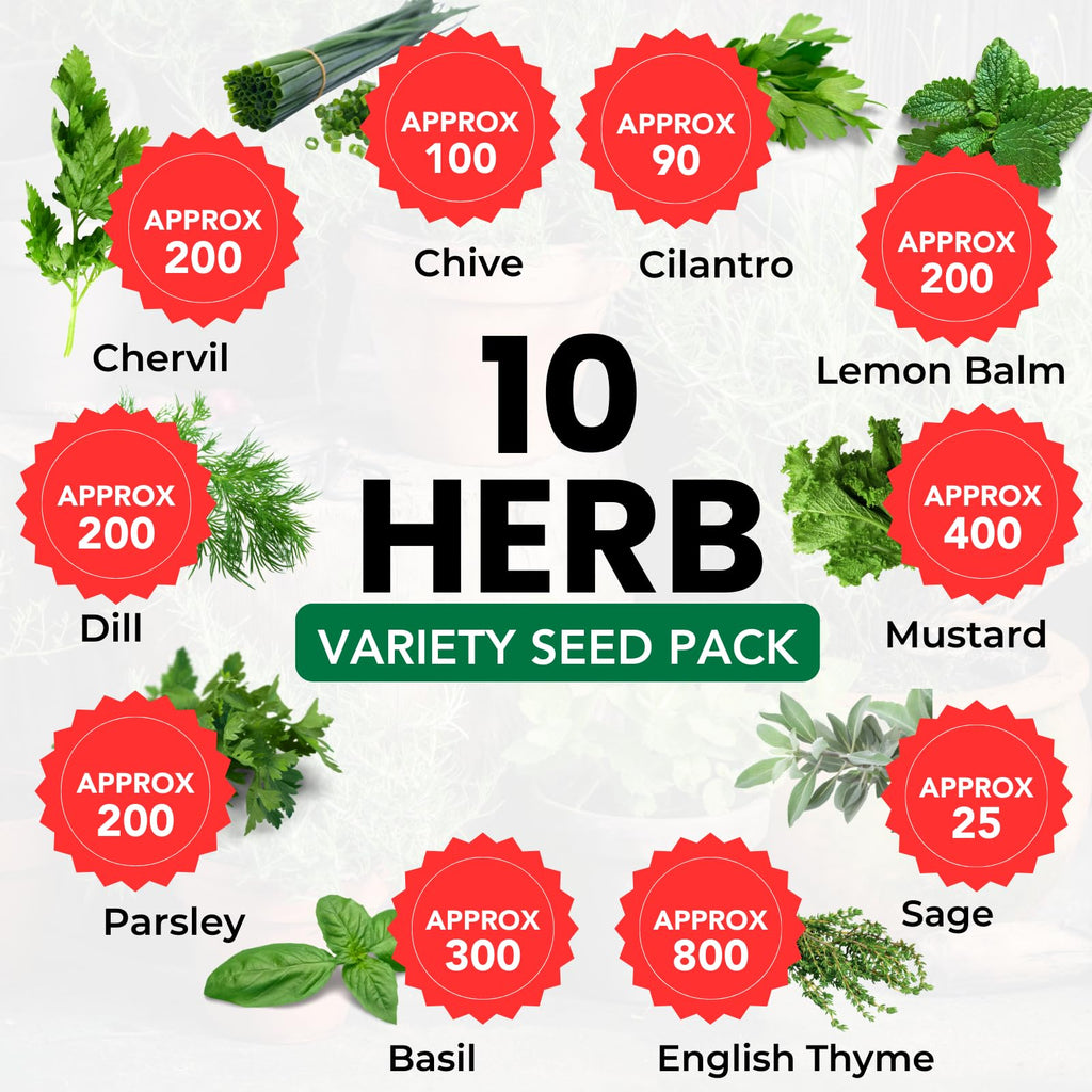 10 Herb Pack | Seeds for Planting: Culinary Herbs Collection | Indoor & Outdoor Garden Variety | Chervil, Chive, Cilantro, Lemon Balm, Mustard, Sage, Thyme, Basil, Parsley, Dill | Limitless Growth