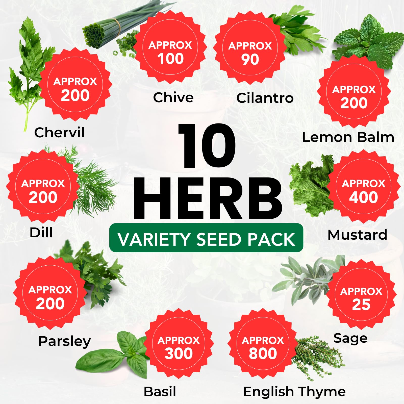 10 Herb Pack | Seeds for Planting: Culinary Herbs Collection | Indoor & Outdoor Garden Variety | Chervil, Chive, Cilantro, Lemon Balm, Mustard, Sage, Thyme, Basil, Parsley, Dill | Limitless Growth