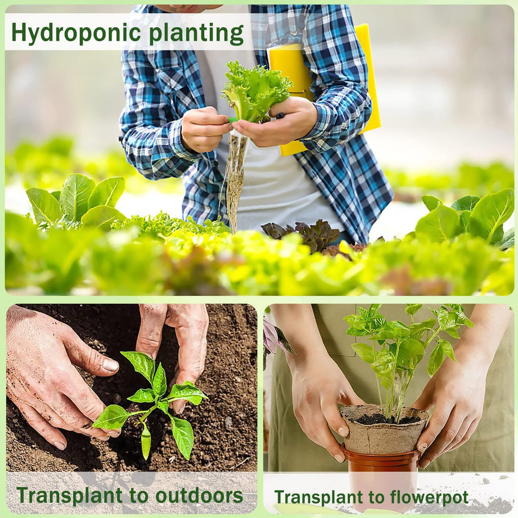 DECYOOL Garden Pods, 80pcs Hydroponic Pods Kit,Grow Anything Kit with 20 Grow Baskets,20 Grow Sponges, 20 Pod Labels,20 Grow Domes