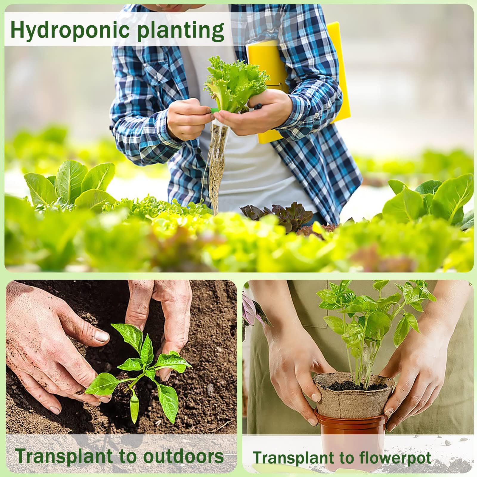DECYOOL Garden Pods, 80pcs Hydroponic Pods Kit,Grow Anything Kit with 20 Grow Baskets,20 Grow Sponges, 20 Pod Labels,20 Grow Domes