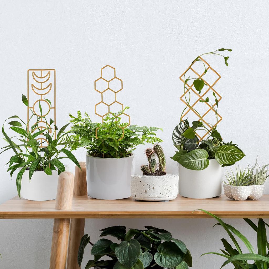 Wellsign Metal Plant Trellis Indoor, 16.36 inch Small Trellis for Potted Plants Geometric Shape Lattice for Ivy Vines Hoya Houseplants Flower Support 2 Pack
