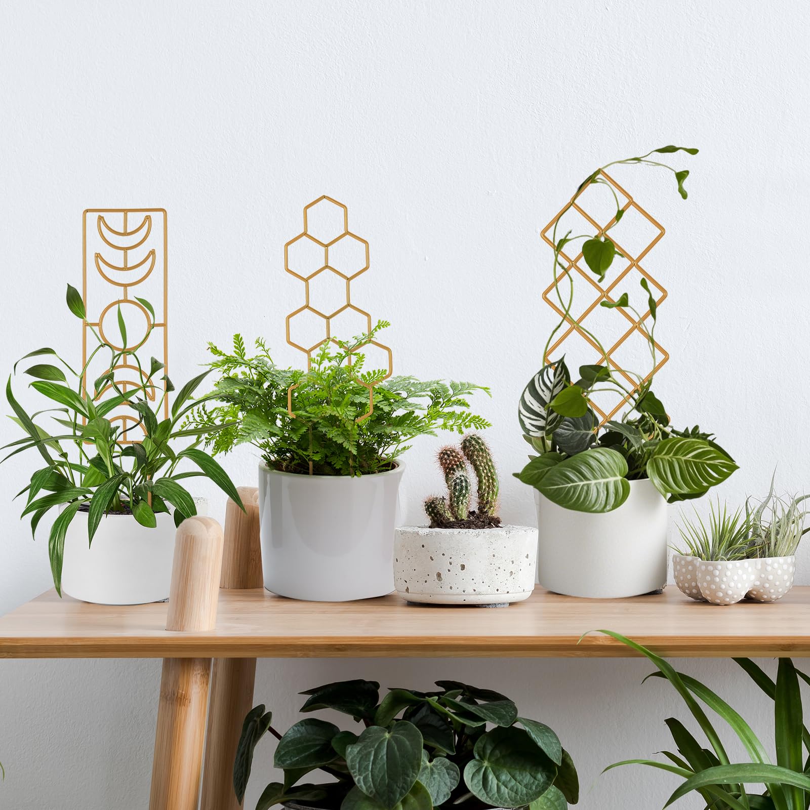 Wellsign Metal Plant Trellis Indoor, 16.36 inch Small Trellis for Potted Plants Geometric Shape Lattice for Ivy Vines Hoya Houseplants Flower Support 2 Pack