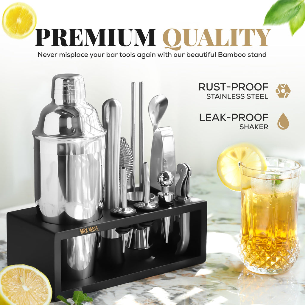 Mixology Bartender Kit with Stand | 15 Piece Bar Tool Set, Silver Bar Set Cocktail Shaker Set for Drink Mixing - Includes Martini Shaker, Jigger, Strainer, Bar Mixer Spoon, Tongs | Gift Idea (Silver)