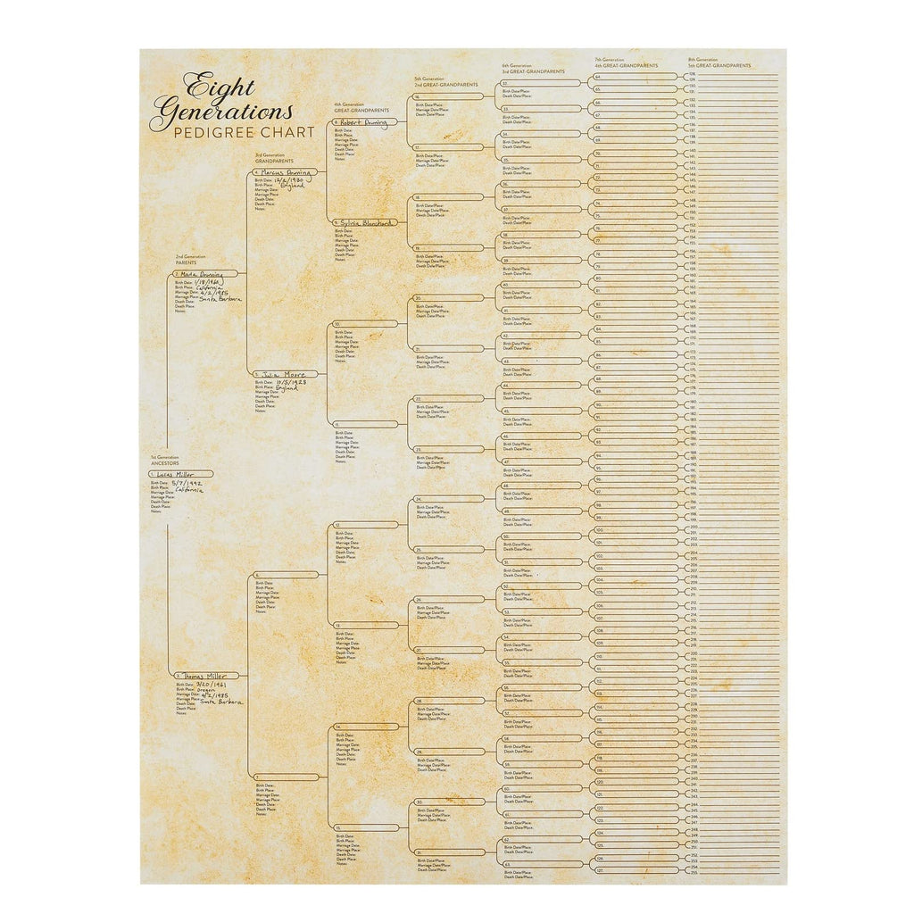 15-Pack Family Tree Charts to Fill In, Blank 8 Generation Genealogy Poster for Family History, Lineage, Reunions, Large Pedigree Chart, 255 Total Name Spaces (17x22 in)