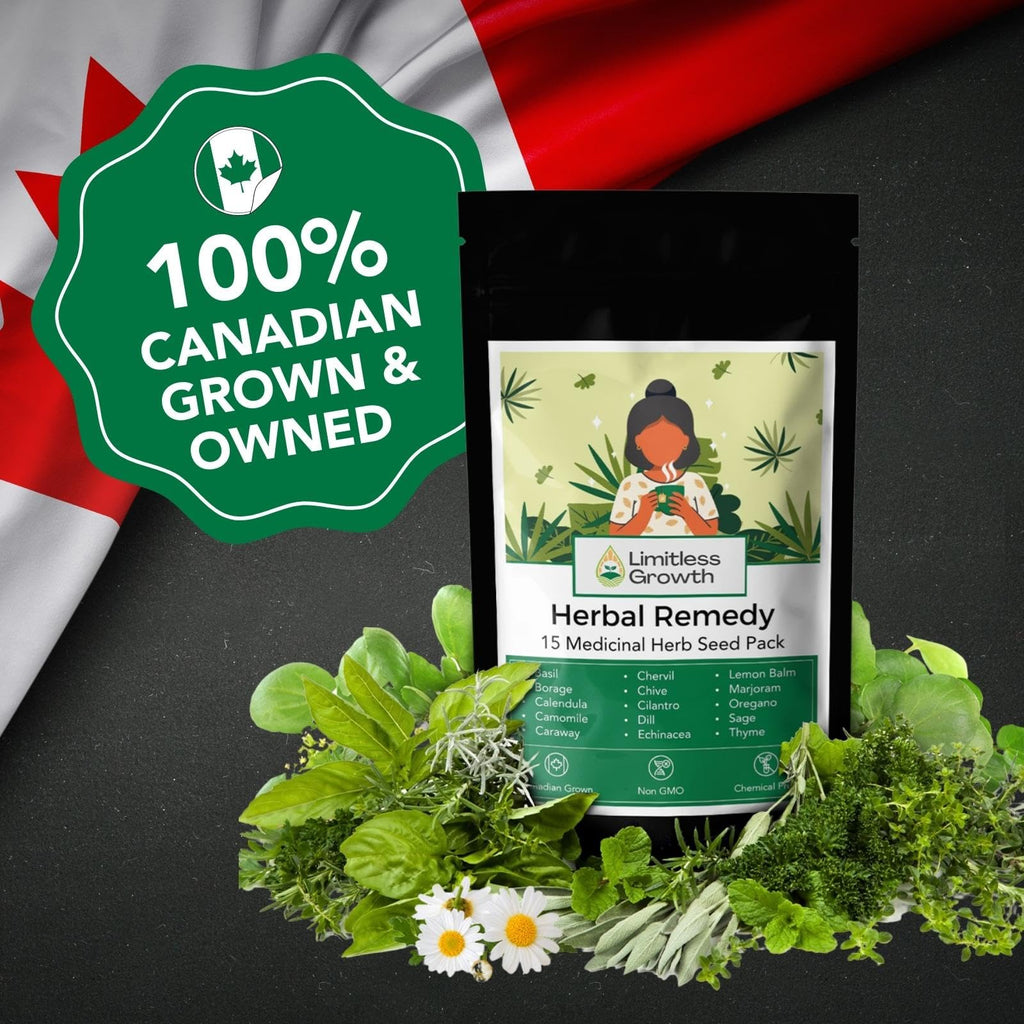 Herbal Remedy Seed Pack | 15 Varieties of Flower & Herb Seeds for Your Medicinal Garden | Easy to Grow, Balcony-Friendly | Borage, Basil, Calendula, Chamomile, Caraway & More | Limitless Growth