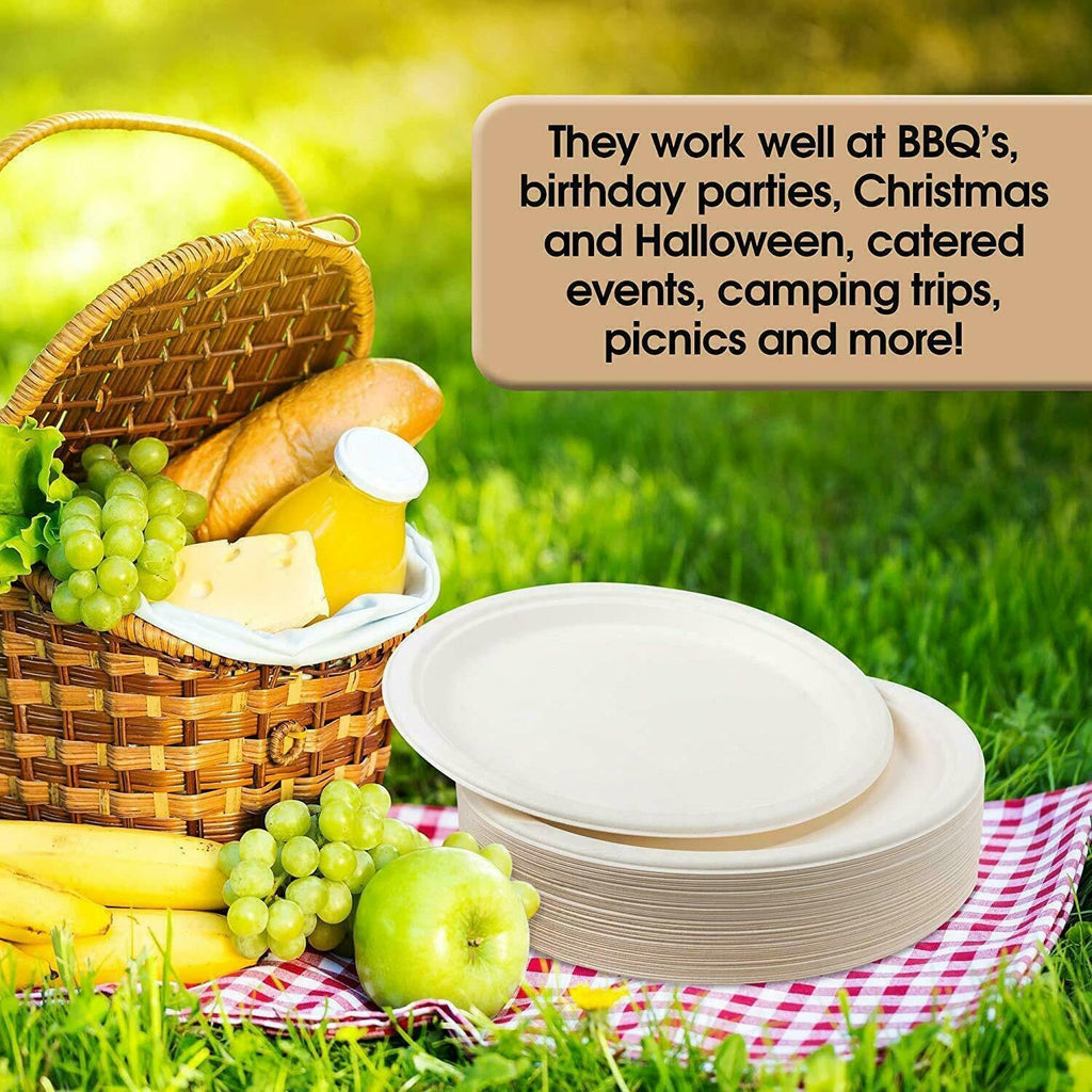 10 Inch Paper Plates, Compostable Disposable Paper Plates,Disposable Sugarcane Paper Party Plates, 50 Count