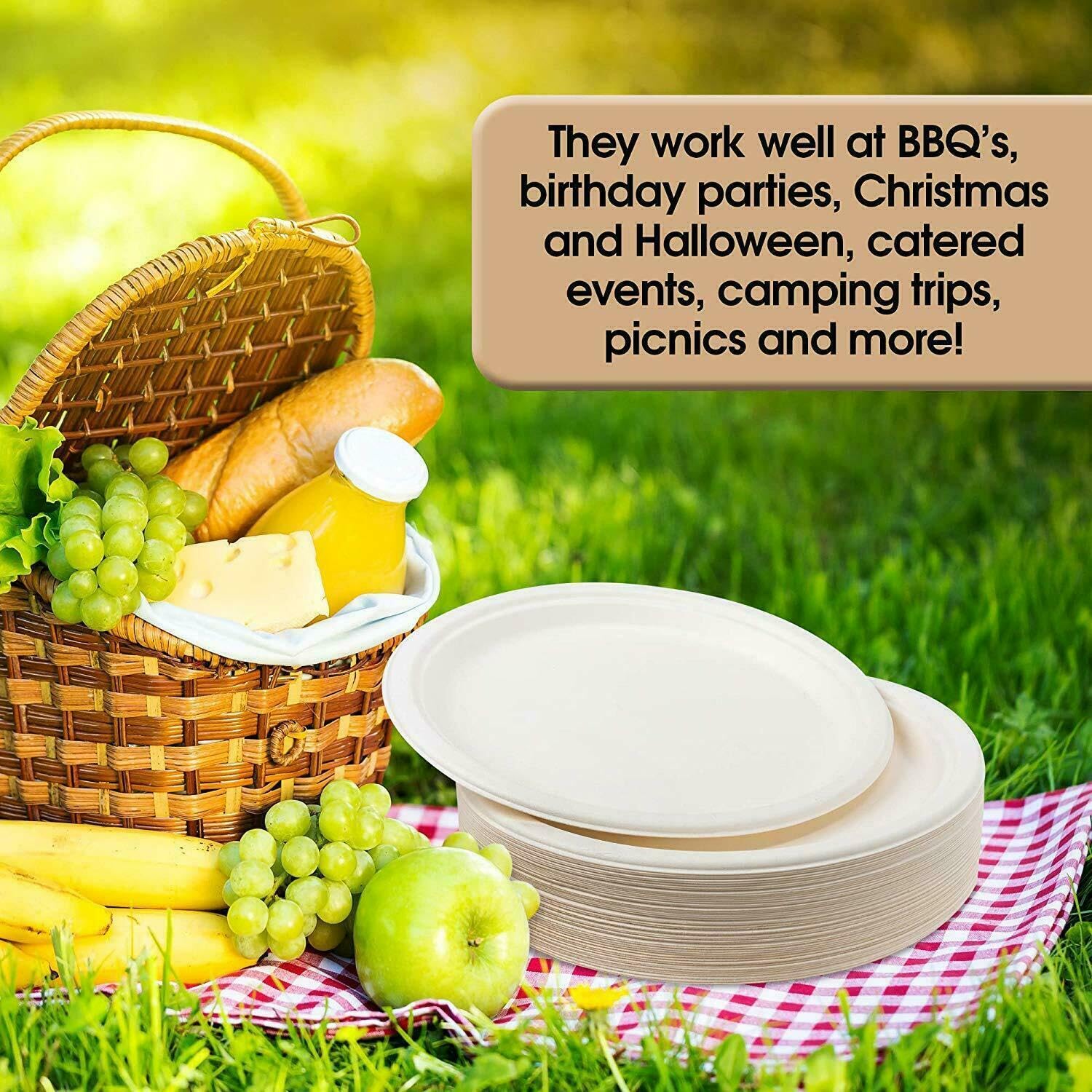 10 Inch Paper Plates, Compostable Disposable Paper Plates,Disposable Sugarcane Paper Party Plates, 50 Count