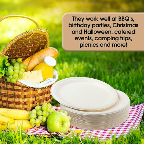 10 Inch Paper Plates, Compostable Disposable Paper Plates,Disposable Sugarcane Paper Party Plates, 50 Count