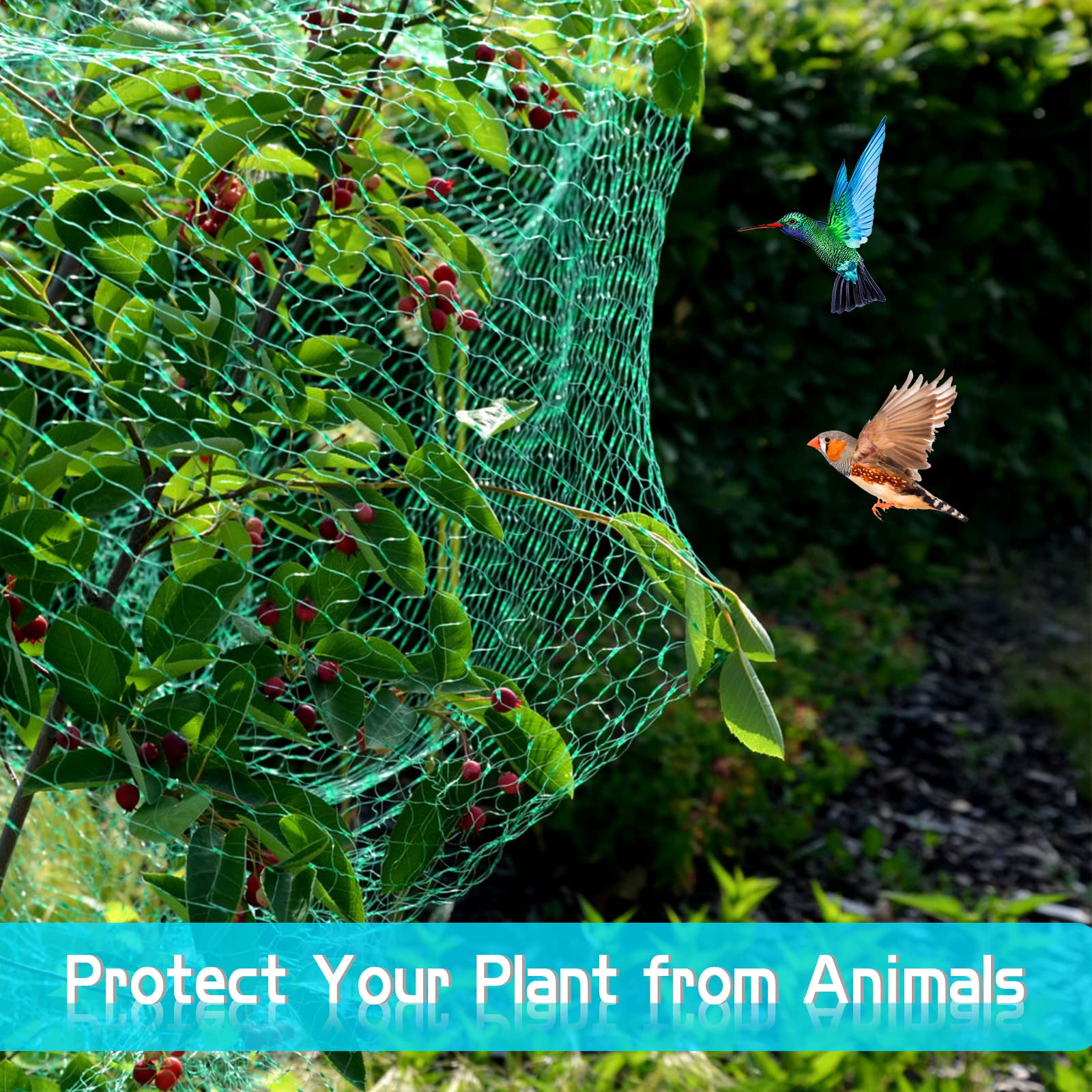 Anti-Bird Netting 33Ft x 13Ft (10m x 4m) Woven with 100Pcs Cable Ties Garden Farm Plants Fencing Mesh Fruits Protector Durable Fish Ponds Cover Green