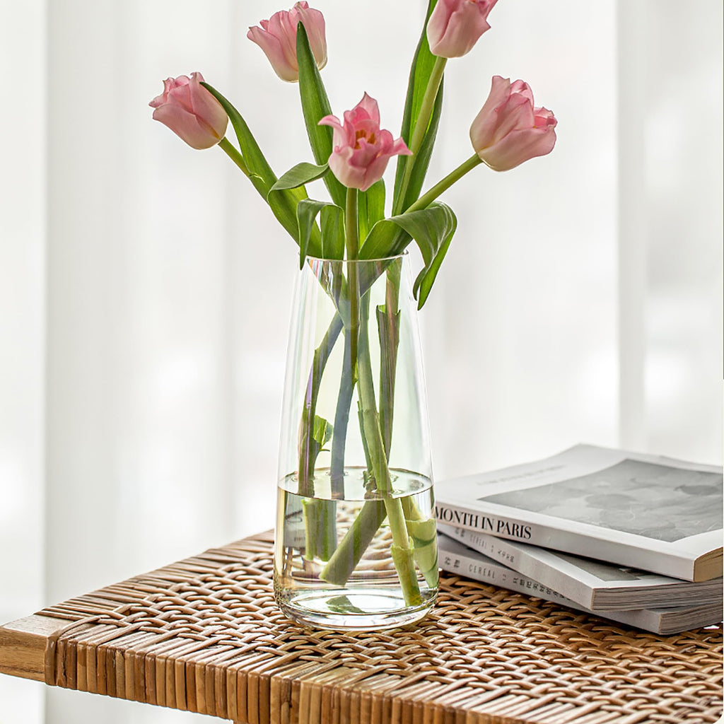 FANTESTICRYAN Ins Modern Glass Vase Irised Crystal Clear Glass Vase for Home Office Decor (Crystal Clear)