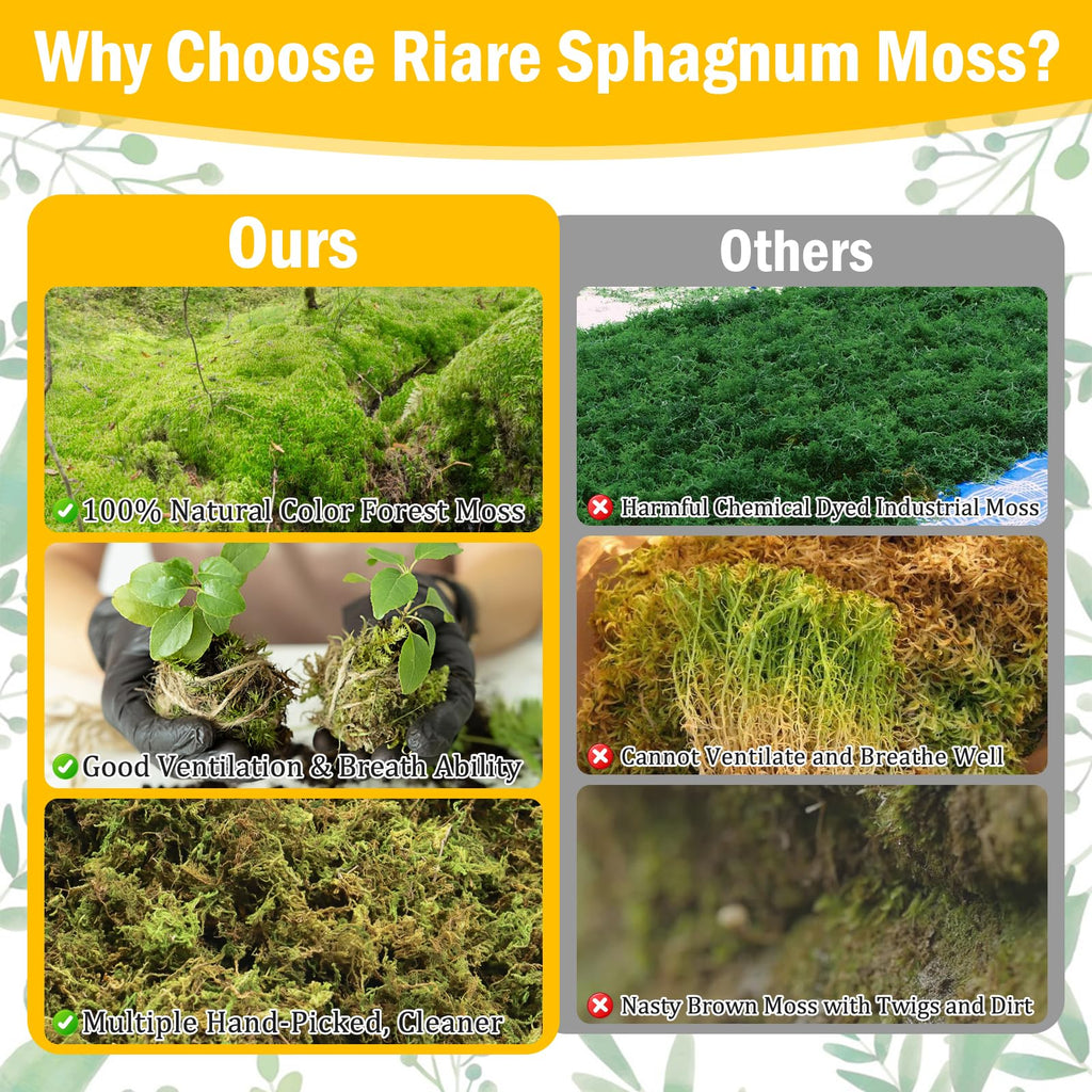 Riare 1.3LBS Premium Sphagnum Moss for Plants- 25QT Natural Dried Plant Moss for Potted Plants, Orchid Moss for Repotting, Soft Green Decorative Moss for Succulents, Reptiles & DIY Crafts