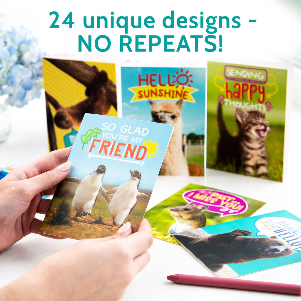 T MARIE 24 Funny Animal Greeting Cards - Humorous Designs with No Repeats - 4.5” x 6.25” Bulk Note Cards for Friends, Kids, Students, Teachers, Summer Camp and More