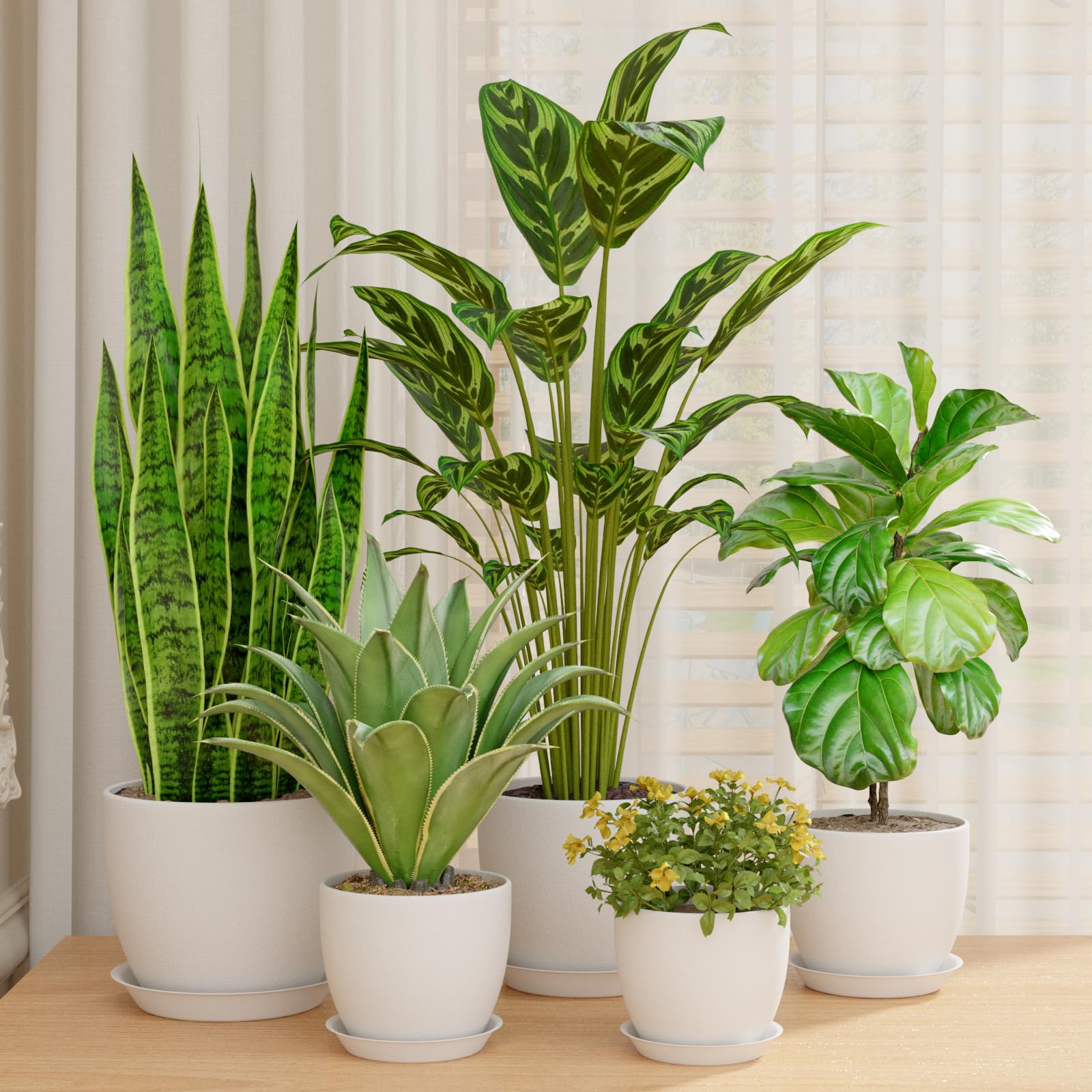 Bamworld 5 Pack Indoor Plant Pots with Drainage Holes and Saucers - Multi-Size Flower Pots for Indoor Outdoor Use Plastic Plant Pot for Home Gardening Containers(Black)