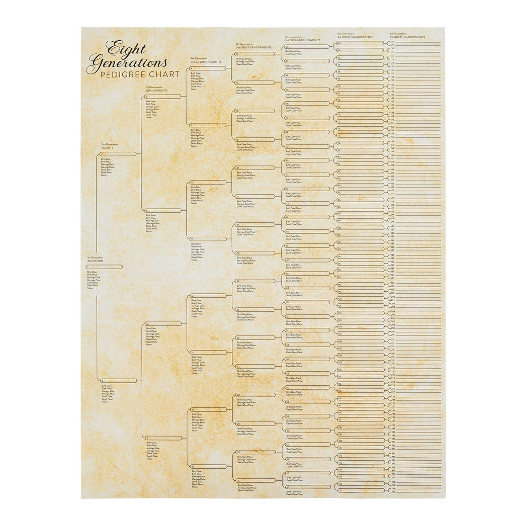 15-Pack Family Tree Charts to Fill In, Blank 8 Generation Genealogy Poster for Family History, Lineage, Reunions, Large Pedigree Chart, 255 Total Name Spaces (17x22 in)