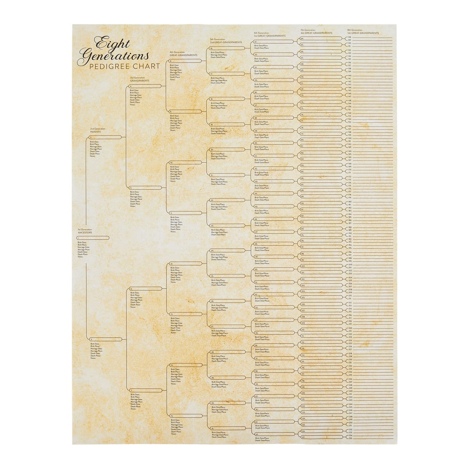 15-Pack Family Tree Charts to Fill In, Blank 8 Generation Genealogy Poster for Family History, Lineage, Reunions, Large Pedigree Chart, 255 Total Name Spaces (17x22 in)