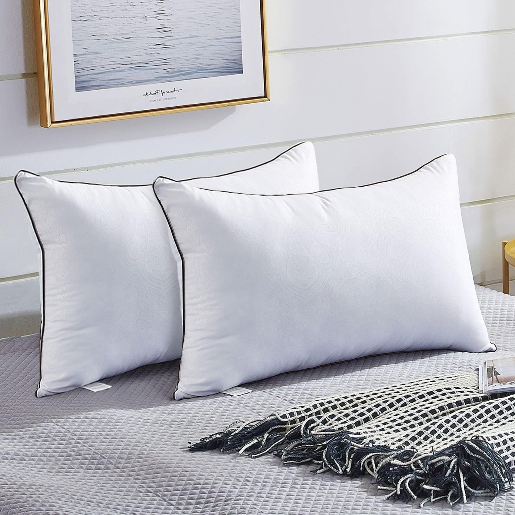 JOLLYVOGUE Pillows Queen Size 2 Pack for Sleeping, Soft and Supportive Bed Pillow for Side and Back Sleeper, Down Alternative Hotel Collection Pillows-20 x30