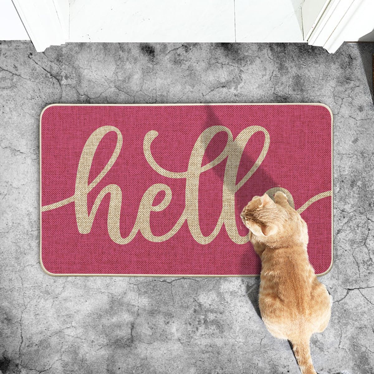 Artoid Mode Pink Hello Spring Doormat, Summer Home Decor Low-Profile Switch Rug Door Mat Floor Mat for Indoor Outdoor 17x29 Inch