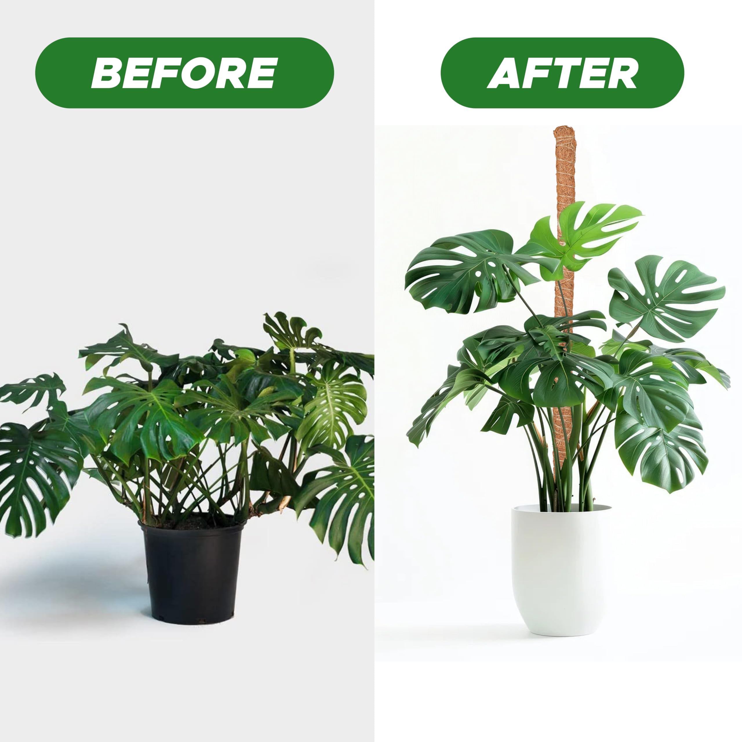 EcoNour 48 inches Moss Pole - Monstera Plant Support Sticks - Coco Coir Plant Support Stakes for Small Potted Climbing Plants - Elevate Indoor Potted Plants to Grow Upwards