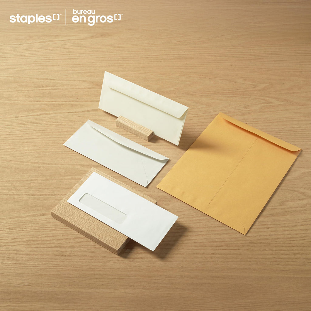 Staples Kraft Catalogue Envelopes with QuickStrip Closure - 5-7/8" x 9-5/8" - White - 100 Pack