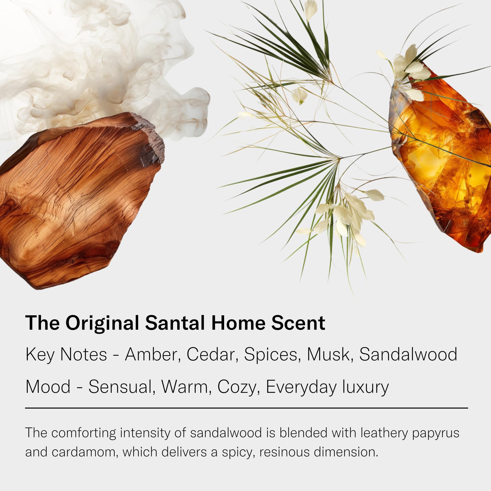 AromaTech Santal Premium Aroma Oil – Inviting & Versatile Home Fragrance with Notes of Sandalwood, Leathery Papyrus & Cardamom for Scent Diffusers, Cold-Air and UltraSonic Scent Machines – 10 mL