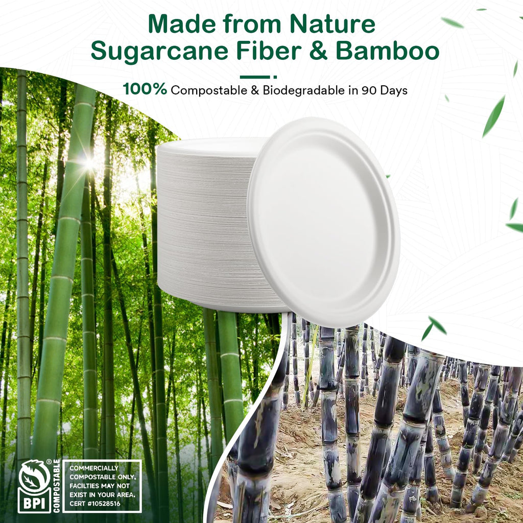 OasisSN 7 Inch 128 Pack Compostable Disposable Paper Plates, Heavy Duty Sugarcane Bagasse Plates, Biodegradable Eco-Friendly for Snacks & Parties, White