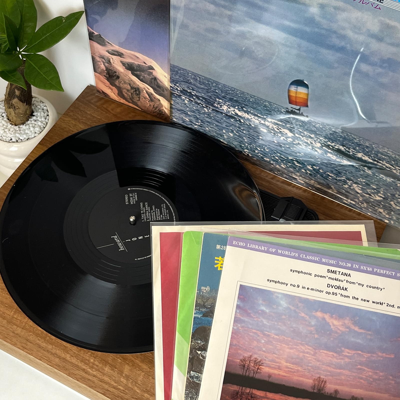 50 Record Sleeves for 12" Vinyl Record, 4 mils Thick Clear Professional Vinyl Record Storage Protector, Vinyl Record Outer Sleeves for LP Album Covers