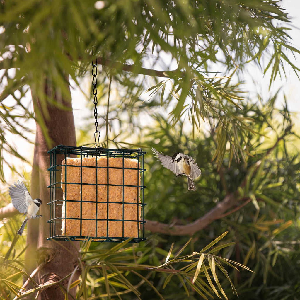 MEKKAPRO Double Delight Suet Feeder 2-Pack with Metal Roof, Dual Capacity, Weather-Resistant Hanging Bird Feeders - Easy to Use, Ideal for Clinging Birds, Woodpeckers, Nuthatches, Chickadees
