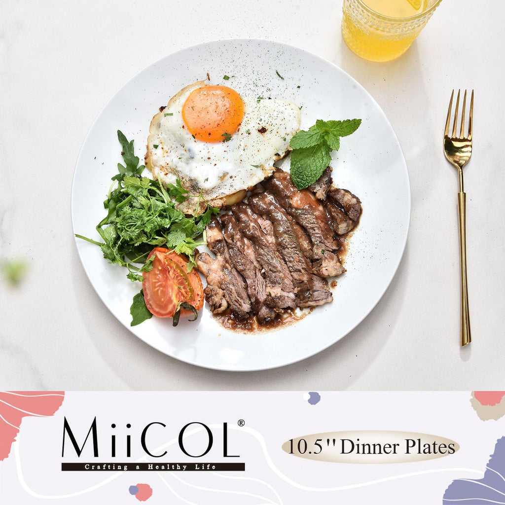 Miicol Ceramic Dinner Plates Set of 4, Large Salad Plate 10.5 inch / 27 cm, White Flat Dish, Porcelain Serving Dishes for Pasta, Steak, Dessert, Microwave and Dishwasher Safe, Scratch Resistant