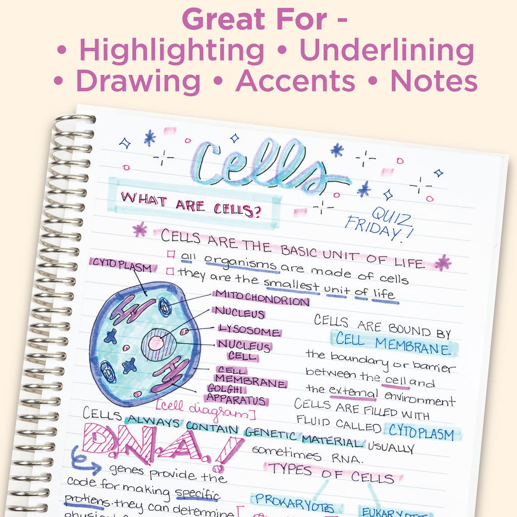 Zebra Pen MILDLINER Dual-Tip Highlighter Marker Set, Broad and Fine Point Tips, No Bleed, Ideal for Bible Highlighting, Journaling, School and Office Supplies, Assorted Ink Colours, 15-Pack (78115)