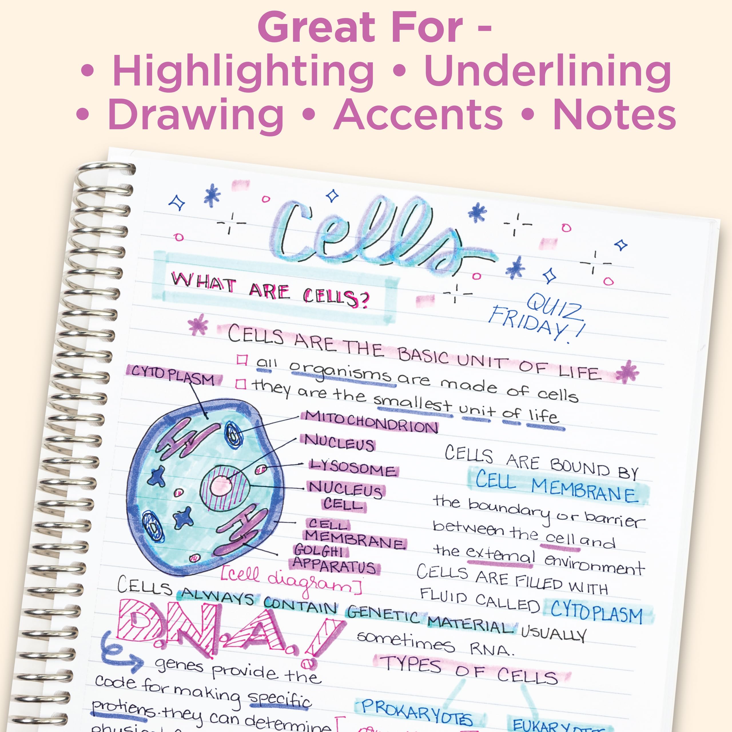 Zebra Pen MILDLINER Dual-Tip Highlighter Marker Set, Broad and Fine Point Tips, No Bleed, Ideal for Bible Highlighting, Journaling, School and Office Supplies, Assorted Ink Colours, 15-Pack (78115)