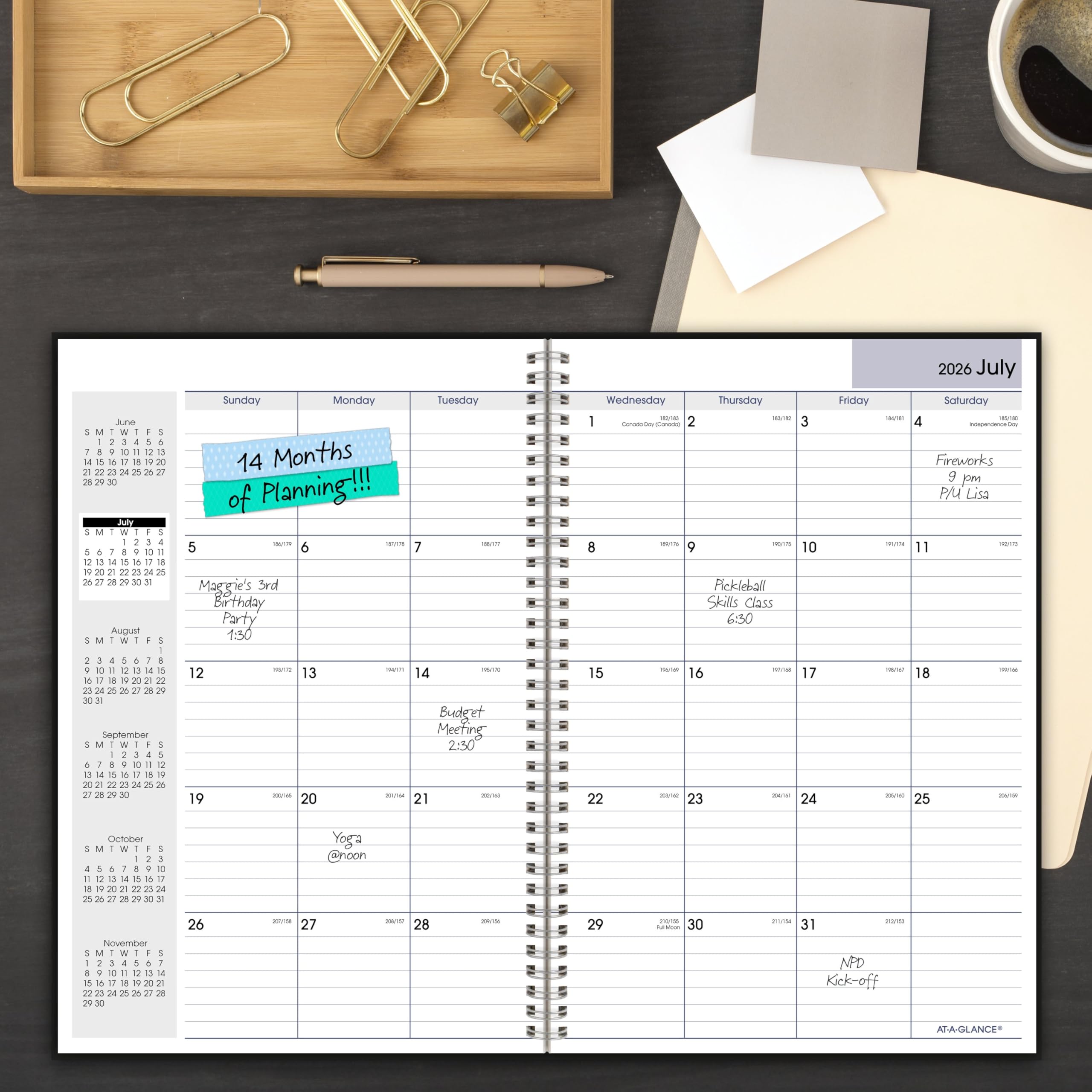 AT-A-GLANCE Academic Planner 2026-2027, Monthly, 8" x 12", 14-Month, DayMinder, Black (AY200)