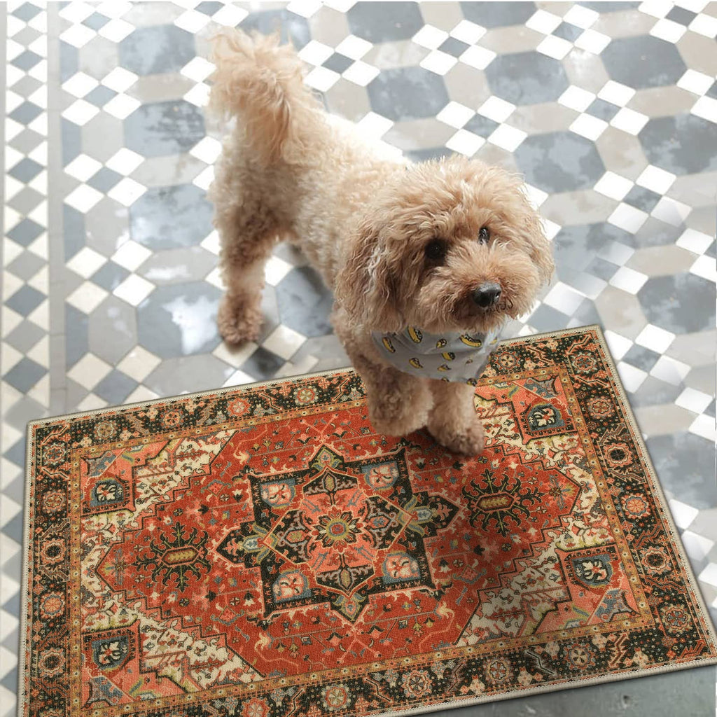 Collive Washable Indoor Door Mat, Non Slip Retro Floor Mat 20" x 32" Door Mats Indoor, Quick Absorbent Doormat Distressed Entrance Rug, Welcome Mats Entryway Rug for Kitchen Home Patio