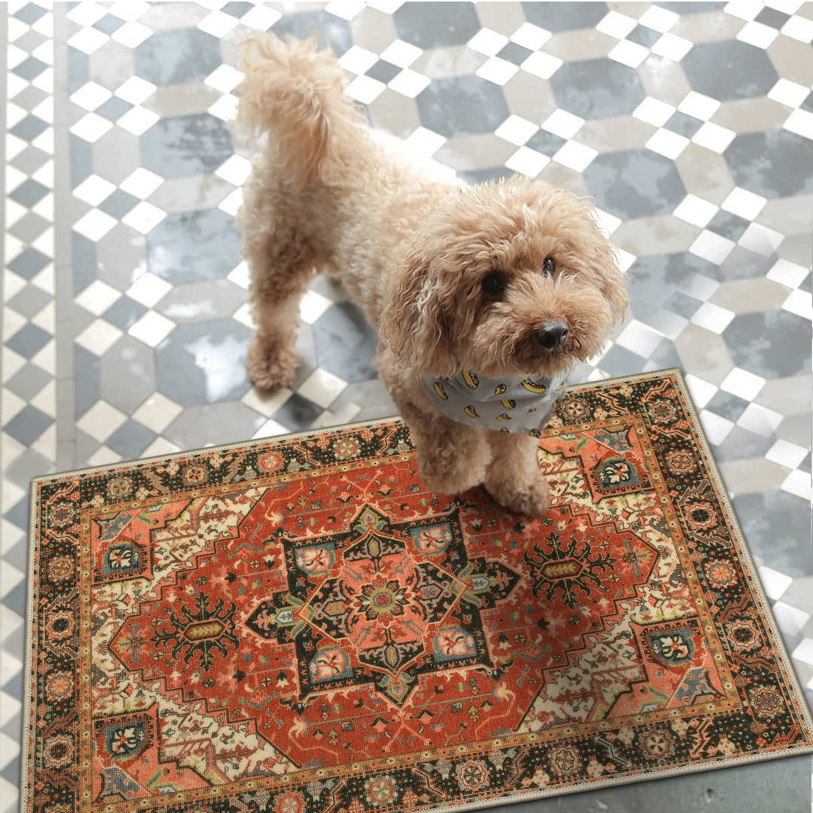 Collive Washable Indoor Door Mat, Non Slip Retro Floor Mat 20" x 32" Door Mats Indoor, Quick Absorbent Doormat Distressed Entrance Rug, Welcome Mats Entryway Rug for Kitchen Home Patio